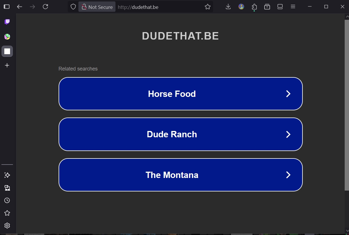 Screenshot of my webpage from the 90s